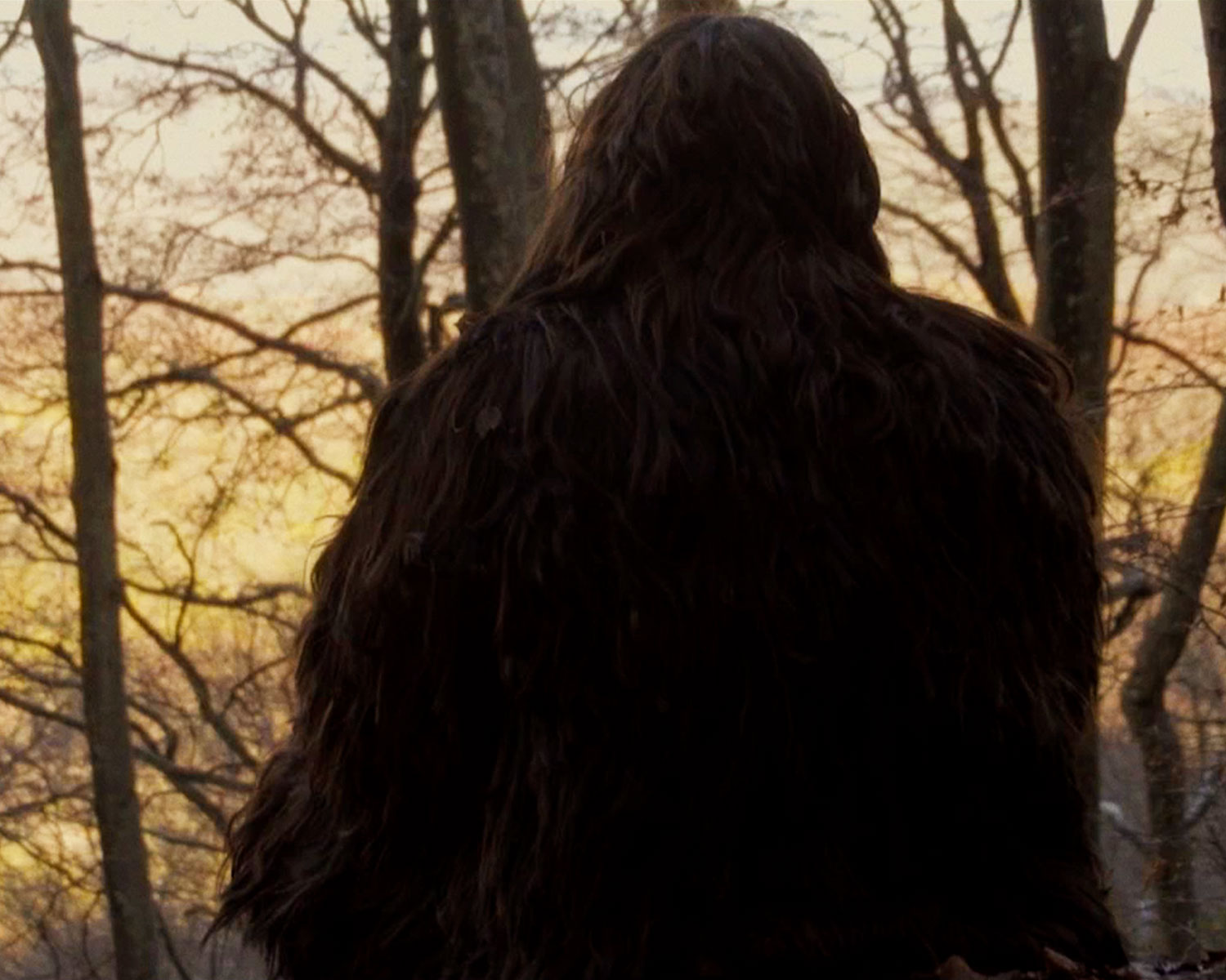 The Monster Lover – Curry