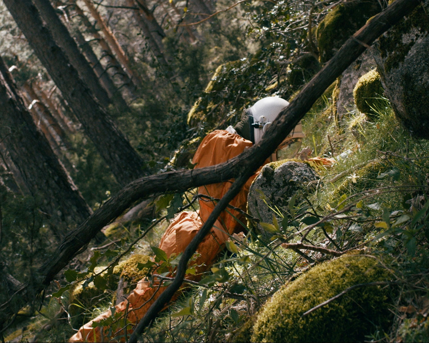 Decoy:Run – Fall out